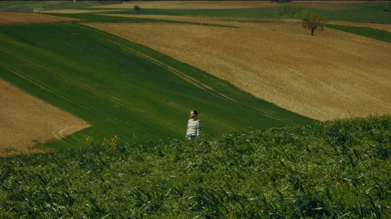 Maali predstavlja Someday